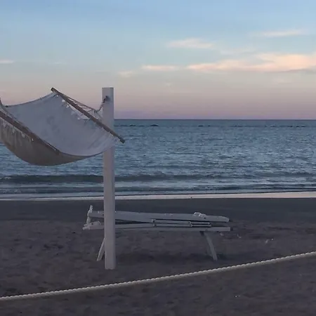 Kristalex Pet Friends 3*