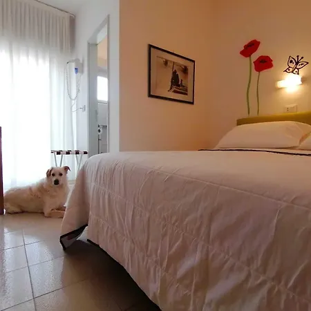 Kristalex Pet Friends Cesenatico