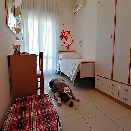 Kristalex Pet Friends צ'סנטיקו