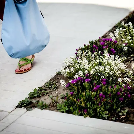 Kristalex Pet Family Cesenatico