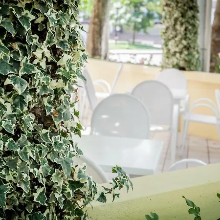 Kristalex Pet Friends Hotel Cesenatico