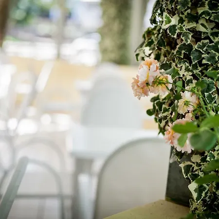 Kristalex Pet Family Cesenatico