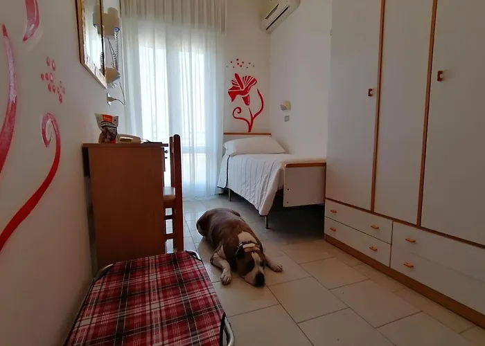 ホテル Kristalex Pet Friends チェゼナーティコ