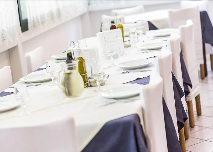 Kristalex Pet Friends チェゼナーティコ