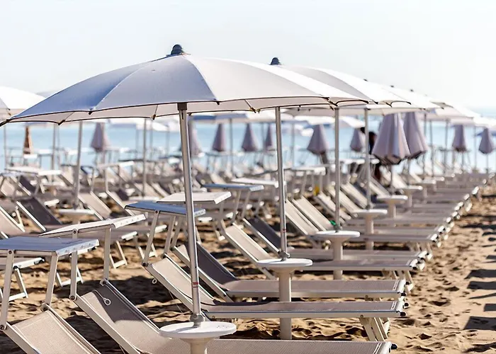 Kristalex Pet Friends Hotel 3*