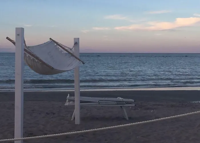 Kristalex Pet Friends 3*