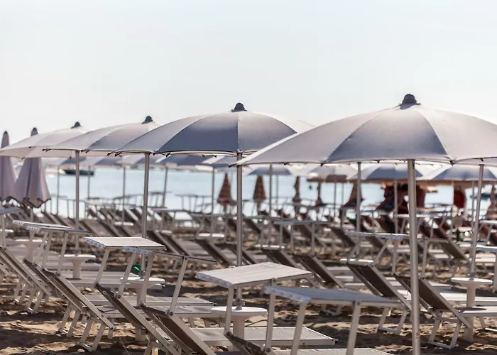 Kristalex Pet Friends Hotel