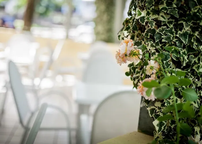 Kristalex Pet Family Cesenatico